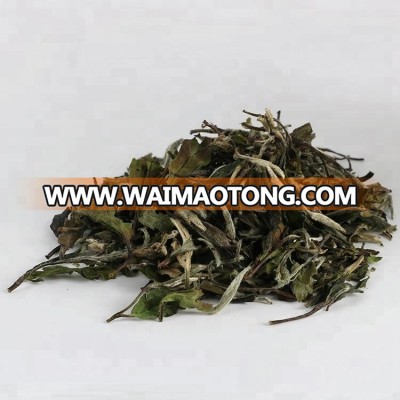 Organic natural White tea of high standard